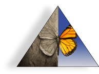 Bipolar mental disorder abstract psychological illness concept as a butterfly divided as one side in grey and sad colors with the other in full bright tones as a medical metaphor for psychiatric mood or feelings imbalance 